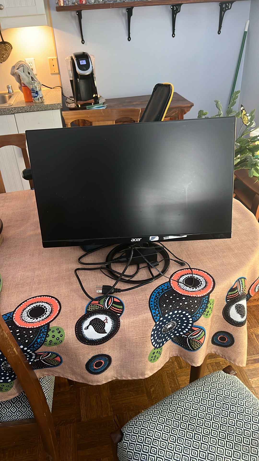 Acer 21 Computer Screen