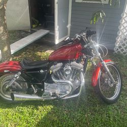 1999 Screaming Eagle Harley Sporster