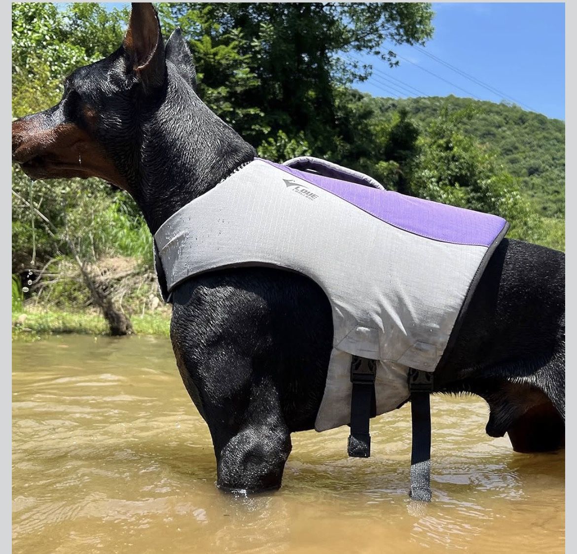 Dog Life Jacket, Sport Style Dog Float Coat with Excellent Buoyancy, Stylish Dog