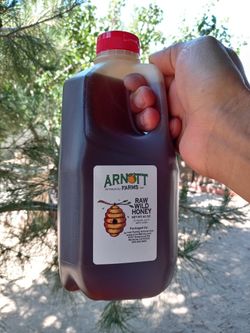 New , 1/2 Gallon Of Wild Raw Honey