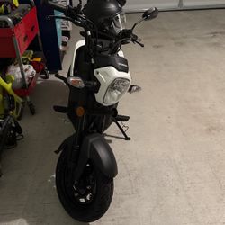 2024 Honda Navi
