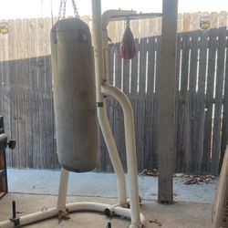 Punching  And Speed Bag