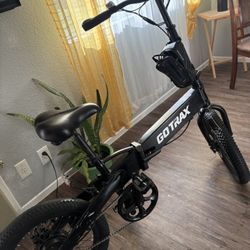 Electric Bike 
