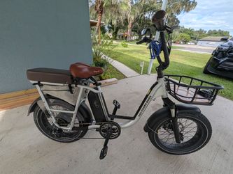 Electric bike Rad Power  Radrunner Plus utility