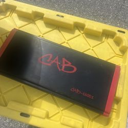 Cab Bass Amplifier Amp Beast