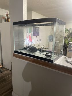 20 Gallon Fish Tank