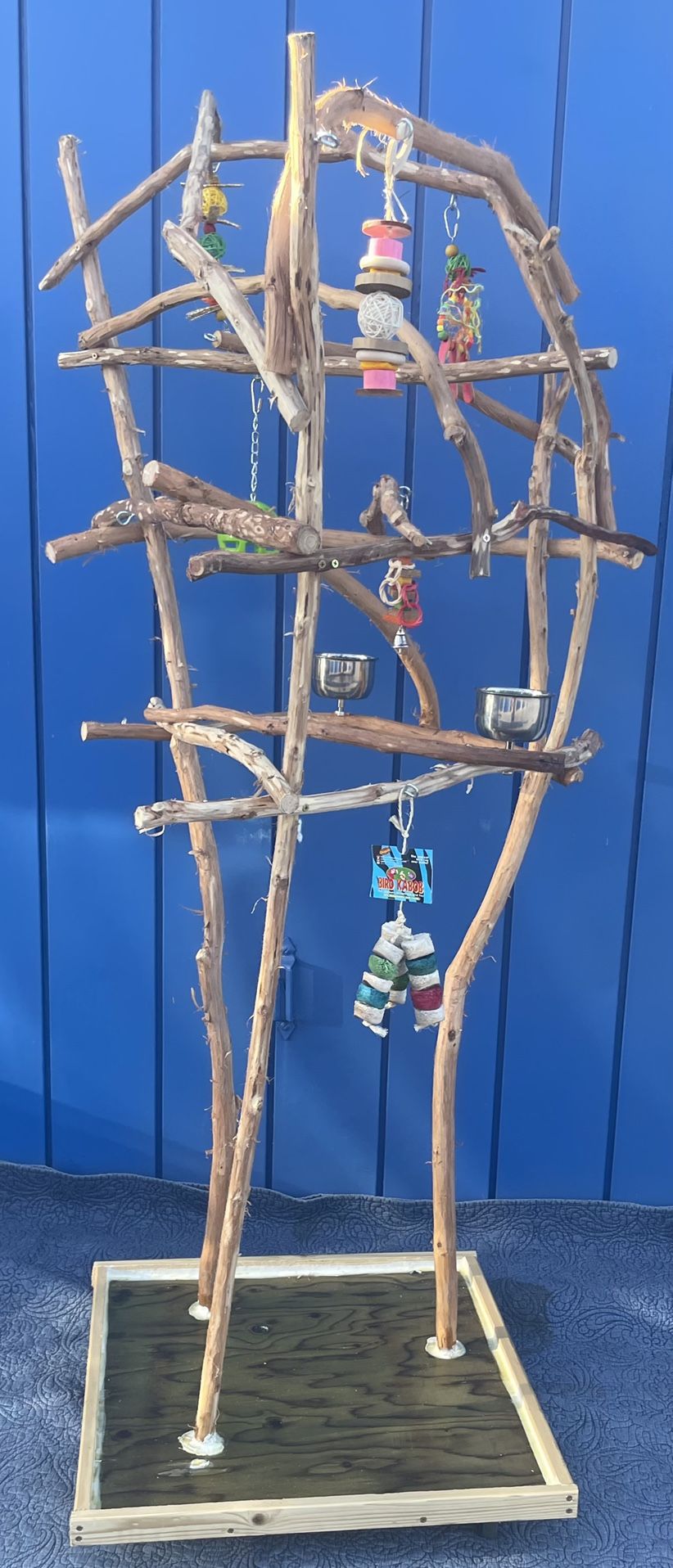 African Grey Perch ! Custom Made —- Hard Durable Ribbon Wood!