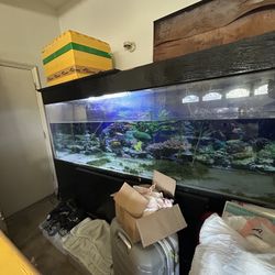 200G acrylic aquarium in great condition, moving must sell