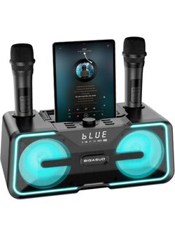 BT Karaoke Speaker & 2 Wireless Microphones