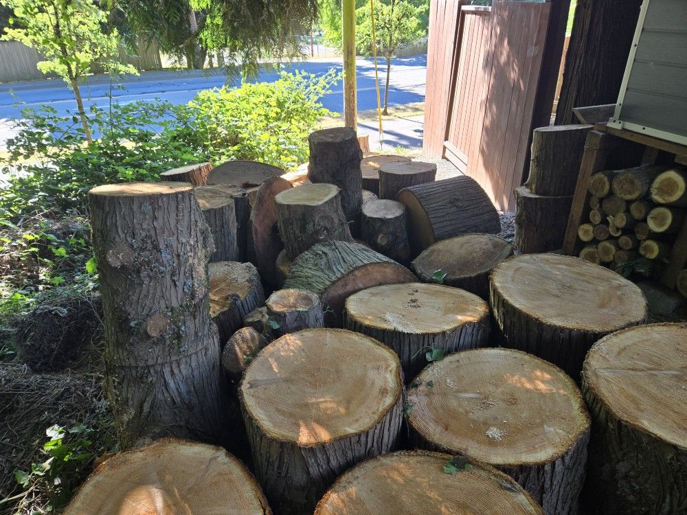Cedar Firewood