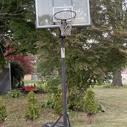 basketball hoop 