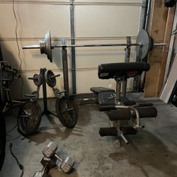 Bench and Weights 