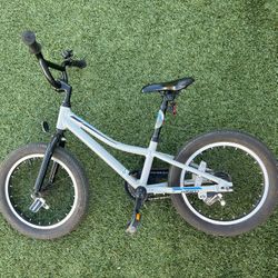 Giant Animator Kids Bike, Grey