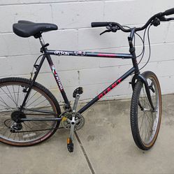 Giant 21 speed mountain bike 26"