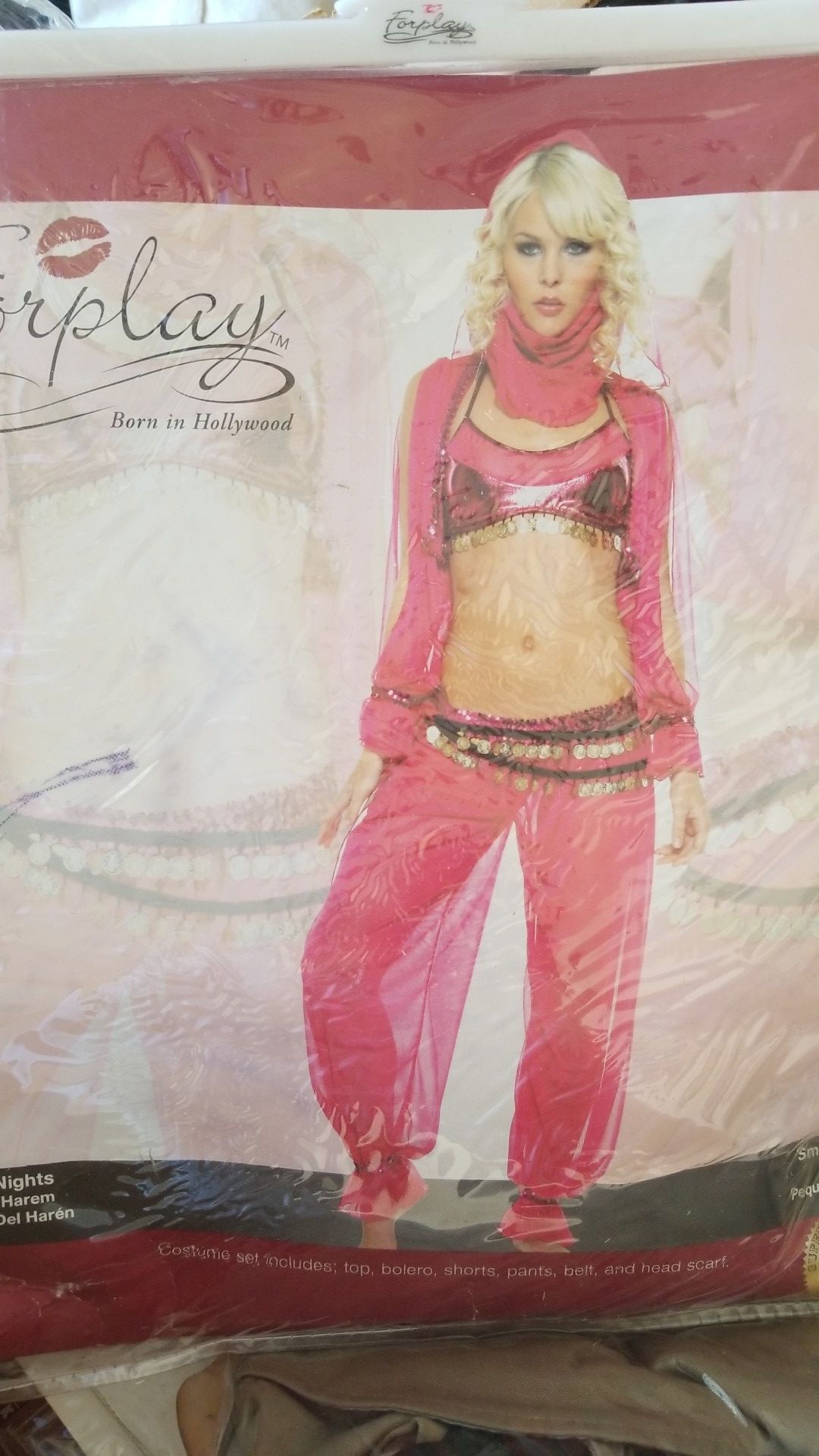 Harem Nights costume