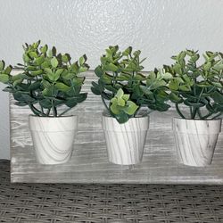 Wall/Home Decor
