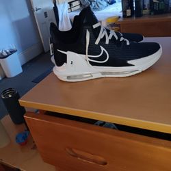 LeBron Witness 6