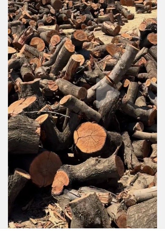 Seasoned Almond Fire Wood