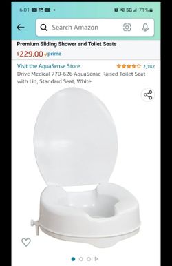 Raised Toilet Seat