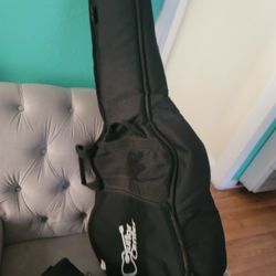 Guitar Case Cover 