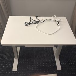 Standup desk - brand:branch (36inch wide)