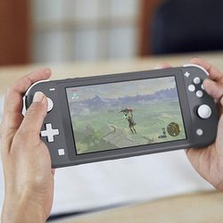 Switch lite