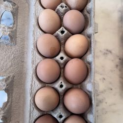 Fresh Eggs 