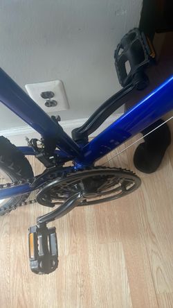 Blue Mountain Bike