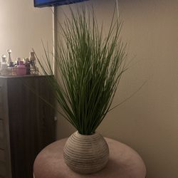 fake decor plant 