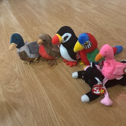 Beanie Baby Birds + Cat