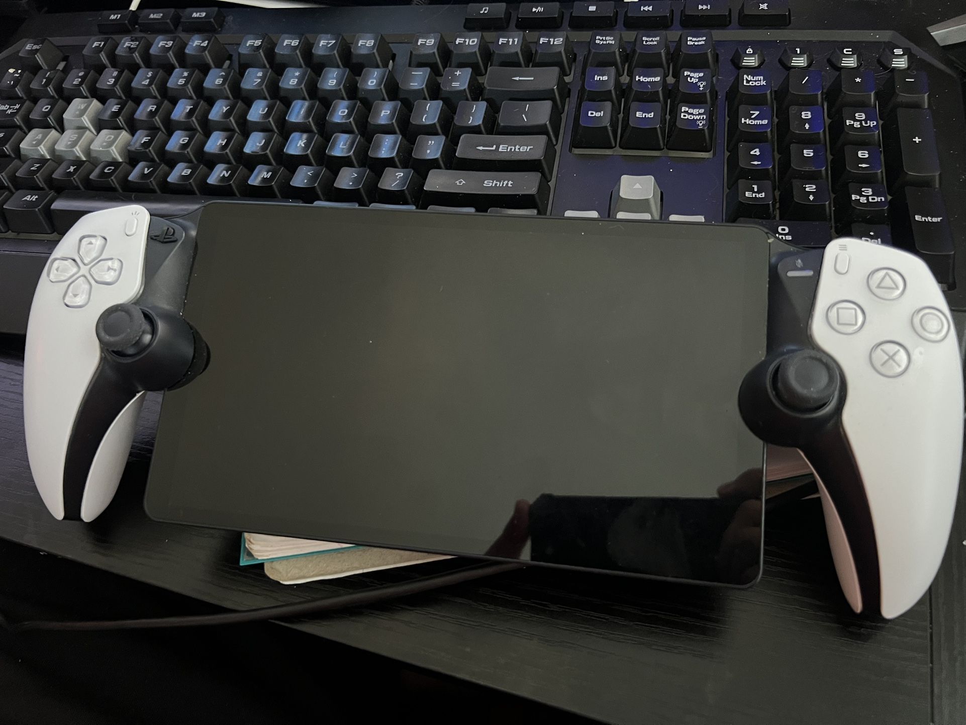 Playstation Portal