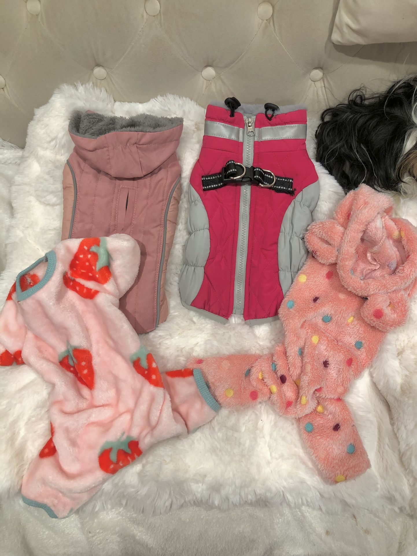 Dog Clothes size Xs All For $20