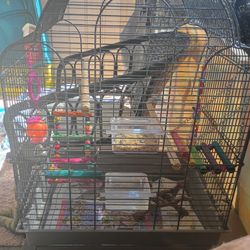 Bird Cage, With Toys And Food For Parakeet 