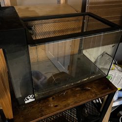 Aquarium - Everything Needed To Start