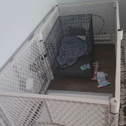 Small Dog Play Pen & Icrate