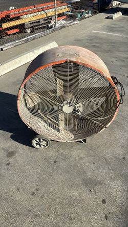 Fan