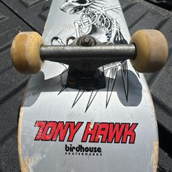 Birdhouse Skateboard