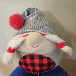 2022 Squishmallow 8" Deidra Winter Gnome Christmas Holiday