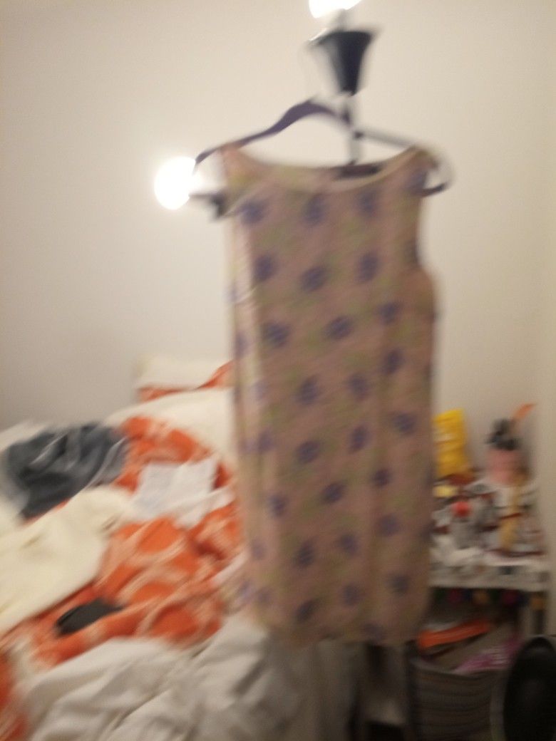 Ladies Vineyard Vines Size 6 Sleeveless Dress Fully Lined Zipper