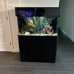 Fish Tank With Stand 