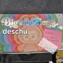 BIG INTO ENERGY BIE LABUBU SET