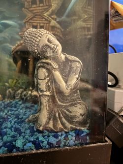 Fish tank