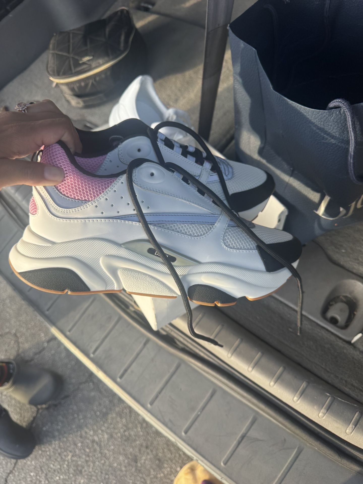 Dior B22 White With Pink