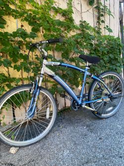 Northwoods Bike “26