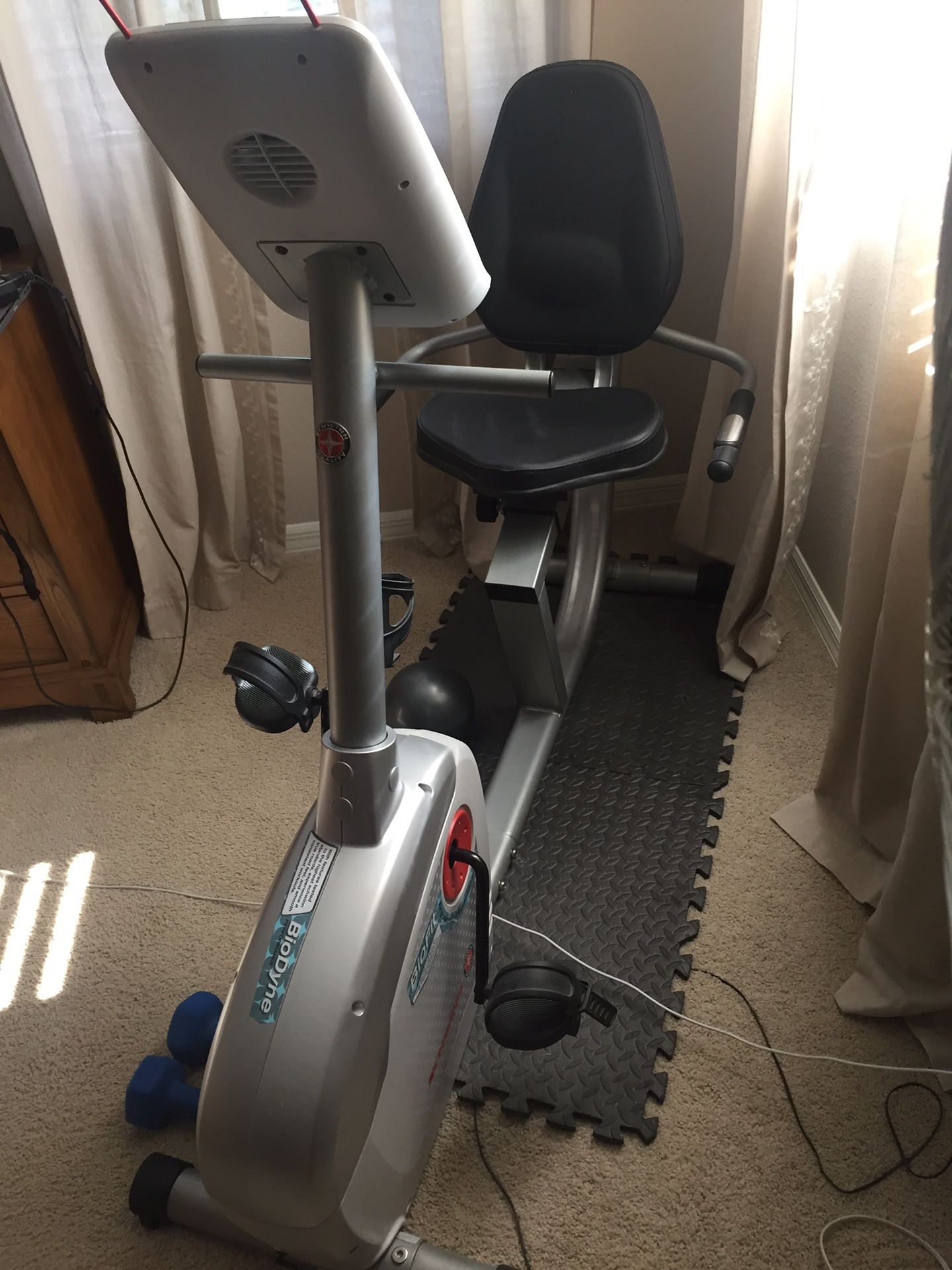 Schwinn Biodyne exercise bike.