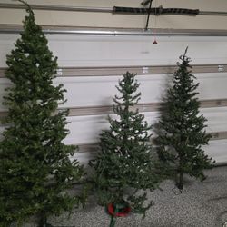 Christmas Trees