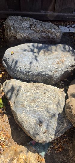 Rocks free
