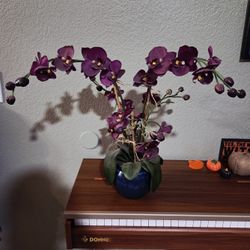 Fake Orchid Plant