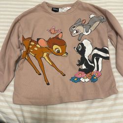 ZaraxDisney