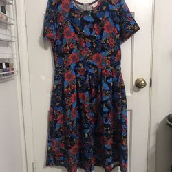 Ladies LulaRoe Dress 👗    